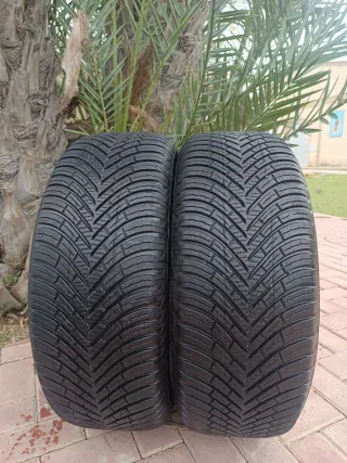 Neumáticos 235/60/16 100H
