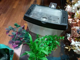 Accesorios para pecera