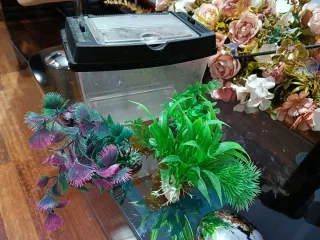 Accesorios para pecera