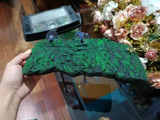 Accesorios para pecera