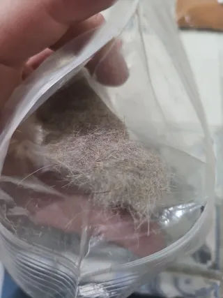 Dubbing Liebre Natural - 1,5gr