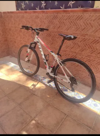 Bicicleta b-pro