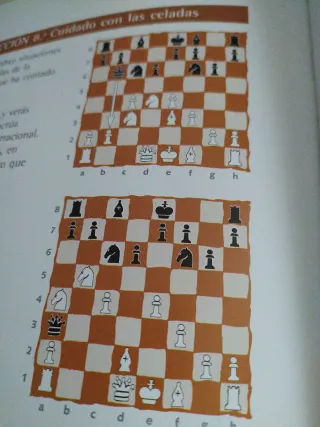 Erase una vez el ajedrez/ Once Upon a Time in C...