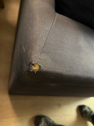 Divano letto a 2 posti IKEA Blu