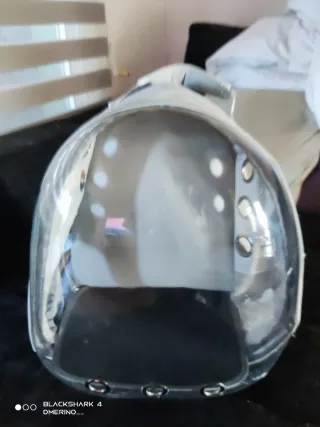 Transportín para gato transparente