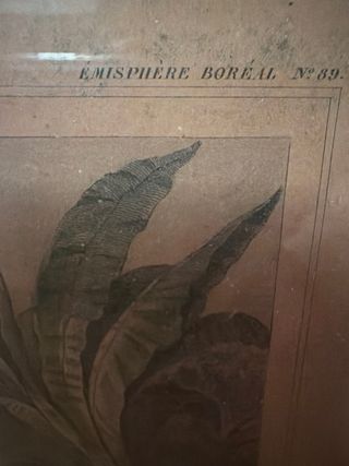 Mapa Antiguo Colonias Francesas