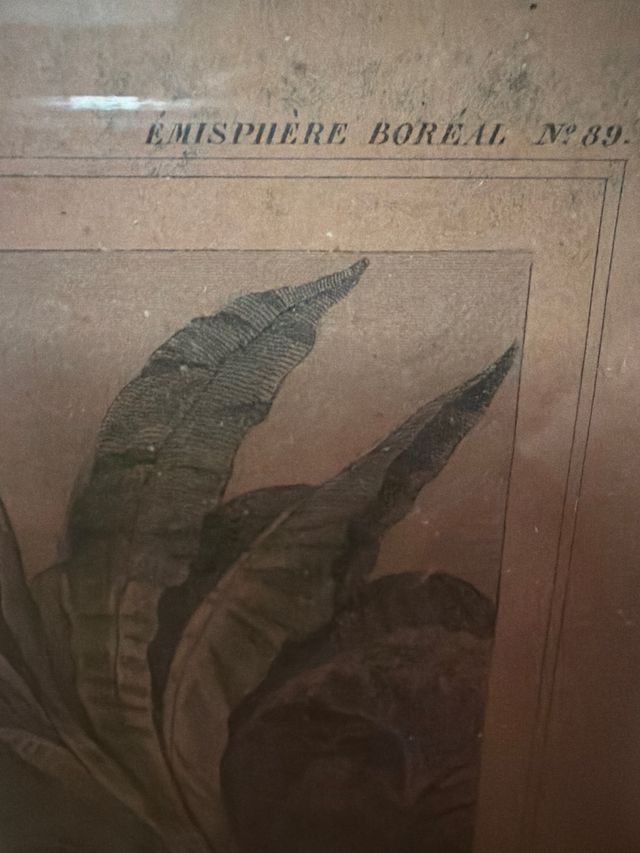 Mapa Antiguo Colonias Francesas