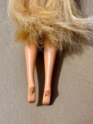 Barbie Bollywood hair