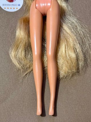 Barbie Bollywood hair