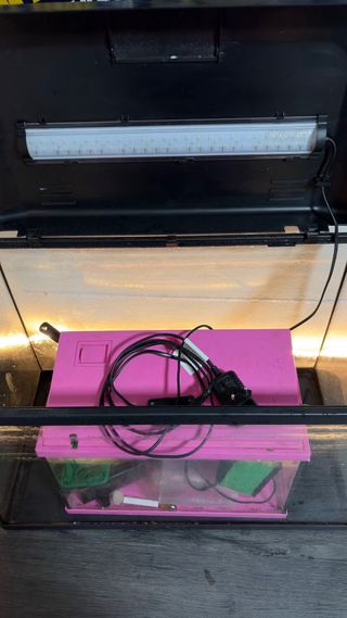 Acuario 64L + Incubadora 10L de Regalo