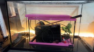 Acuario 64L + Incubadora 10L de Regalo