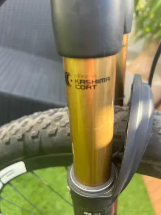 BH Lynx 9.9 Talla M 2024