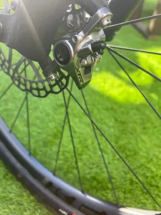 BH Lynx 9.9 Talla M 2024