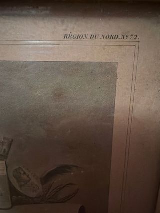 Mapa antiguo Francia Siglo XIX