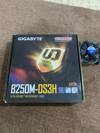 Placa Gigabyte B250M DS3H + Intel Core i5-7500