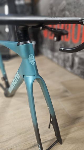 Cuadro Bianchi Specialissima PRO de carretera