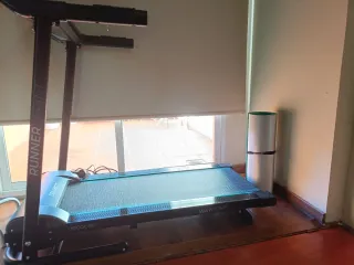 Cinta de correr Cecotec Runner Sprint