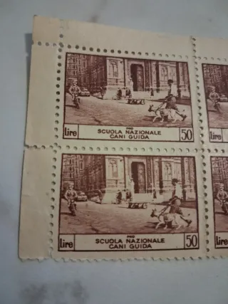 6 Francobolli 1950 Scuola Cani Guida
