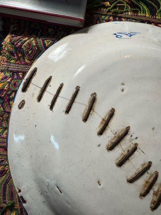Plato ceramica azul y blanco loza antiguo