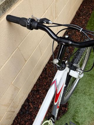 Bicicleta MB 26' adulto