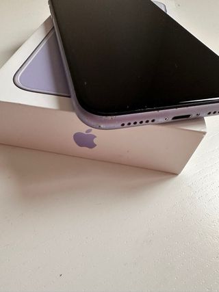 iPhone 11 Viola