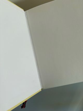 Libro en inglés: Terry and Trunk Investigate...