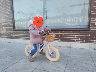 Bici de equilibrio rosa para niña 2/4 años