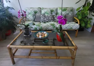 Conjunto Muebles Mimbre Mesas con sofa