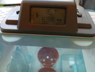 Invernadero Hi-Tech Clementoni