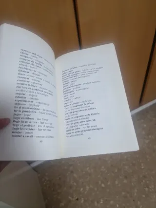 Aprender valenciano sobre la marcha: una introd...