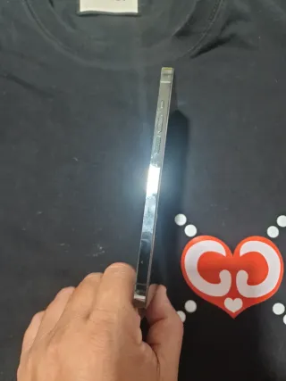 iPhone 13 Pro Max Verde