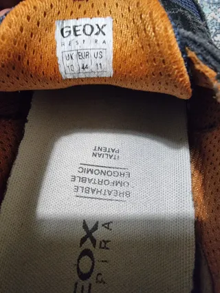 Scarpe Geox 44