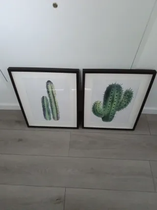 Set 2 Cuadros Cactus Ikea