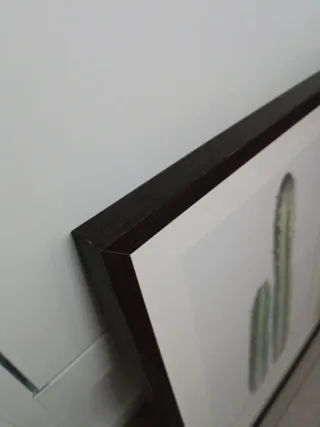 Set 2 Cuadros Cactus Ikea