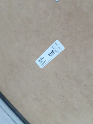 Set 2 Cuadros Cactus Ikea