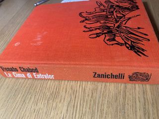 La cima di entrelor renato chabod