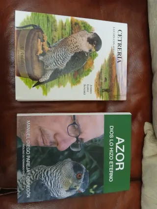 Libros de Cetrería: Azor y Cetrería