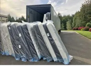 Canapé  abatible + Colchón Viscoelástico