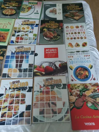 Lote De libros de cocina y vinos
