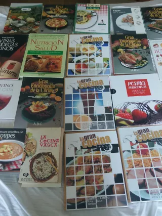 Lote De libros de cocina y vinos