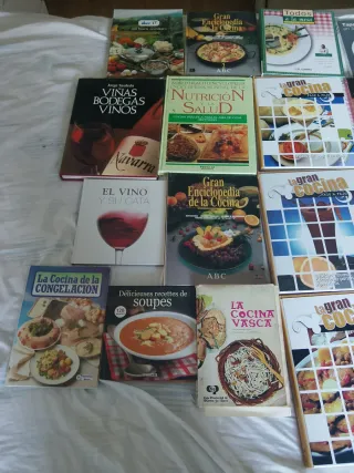 Lote De libros de cocina y vinos