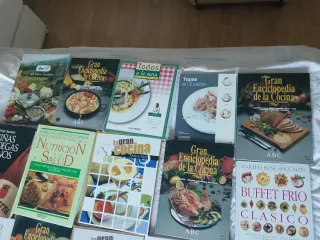 Lote De libros de cocina y vinos