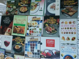 Lote De libros de cocina y vinos