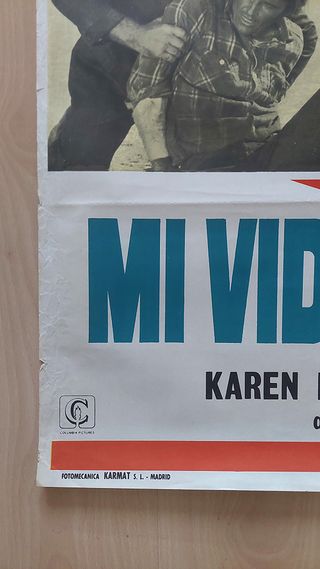 Cartel Cine Mi Vida es Mi Vida (1971)