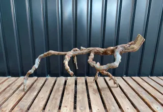 Raíz/tronco Decoración acuario OFERTA SOLO HOY!