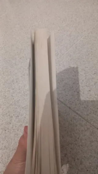 El Príncipe de la Niebla (Spanish Edition)