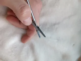 Pinzas Kocher Quirúrgicas