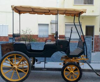 Manola 9 plazas Más información por privado