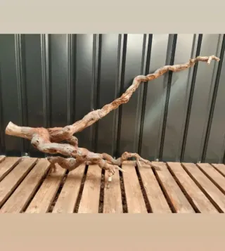 Raíz/tronco Decoración acuario OFERTA SOLO HOY!