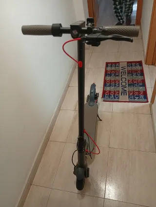 Patinete eléctrico gris